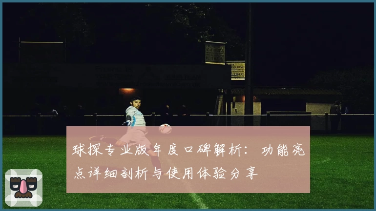 球探专业版年度口碑解析：功能亮点详细剖析与使用体验分享