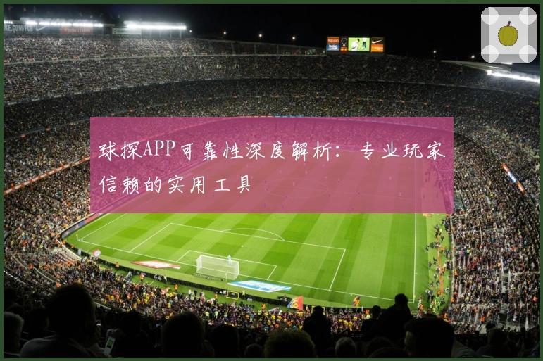 球探APP可靠性深度解析：专业玩家信赖的实用工具