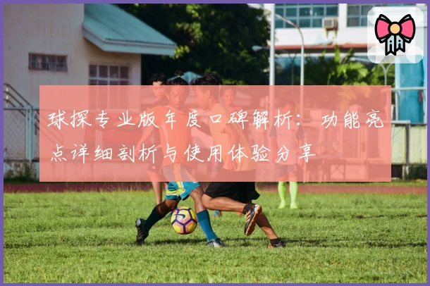 球探专业版年度口碑解析：功能亮点详细剖析与使用体验分享